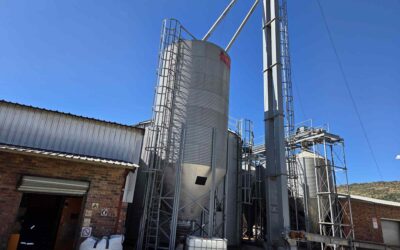 Twelve Recipes, Zero Guesswork: Automating a Feed Mill’s Batching Line